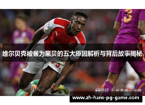 维尔贝克被誉为黑贝的五大原因解析与背后故事揭秘