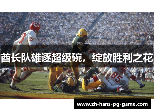酋长队雄逐超级碗，绽放胜利之花